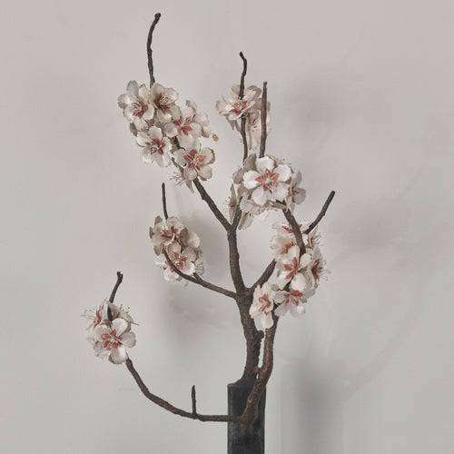 AARON'S ROD WITH ALMOND BLOSSOMS BY DIANE TINTOR